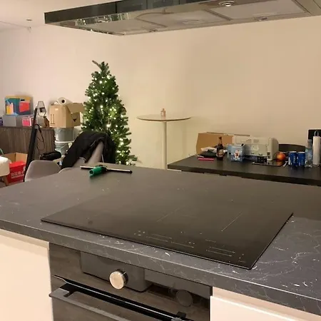 Center Newly Renovated House