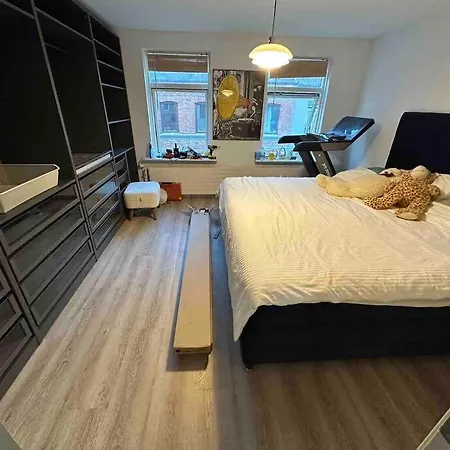 Center Newly Renovated House